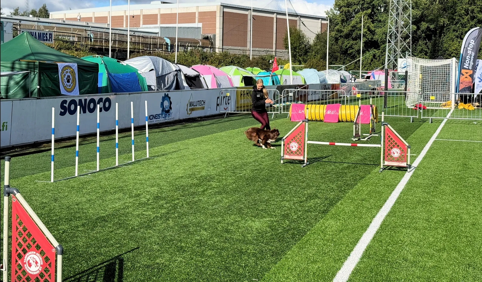 Agility-kilpailu Suomessa – koira hyppää esteen yli